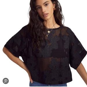 Aritzia Wilfred Black Sheer Blayze Crop Top